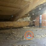 SRŠENI PLITVIČKI VRH 30.09.32025 1